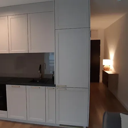 Mieszkanie Do Wynajecia - Studio Flat Apartment *